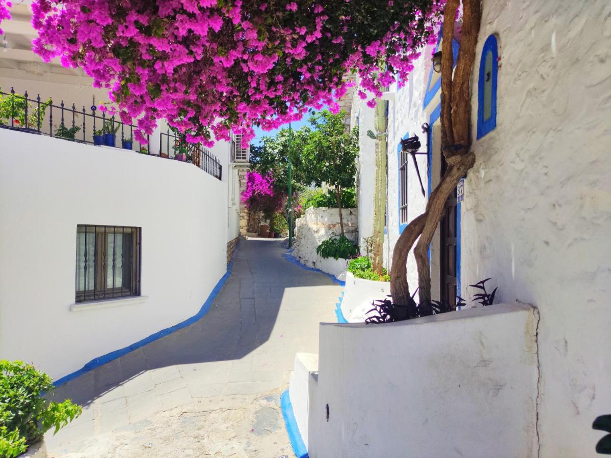 18th Century Renovated Stone House, Terrace, Free Fast Wi-fi Bodrum