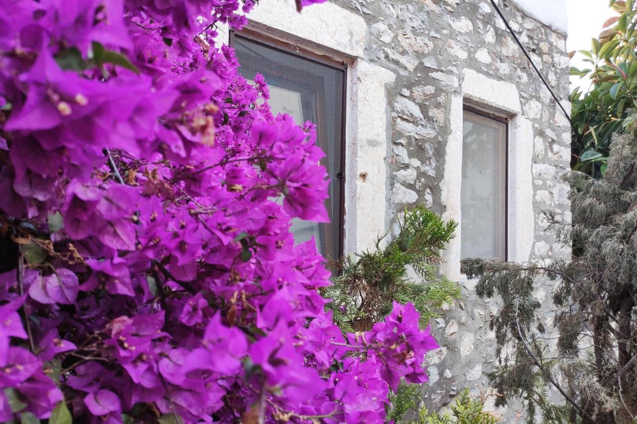 Apartament 18th Century Renovated Stone House, Terrace, Free Fast Wi-fi *